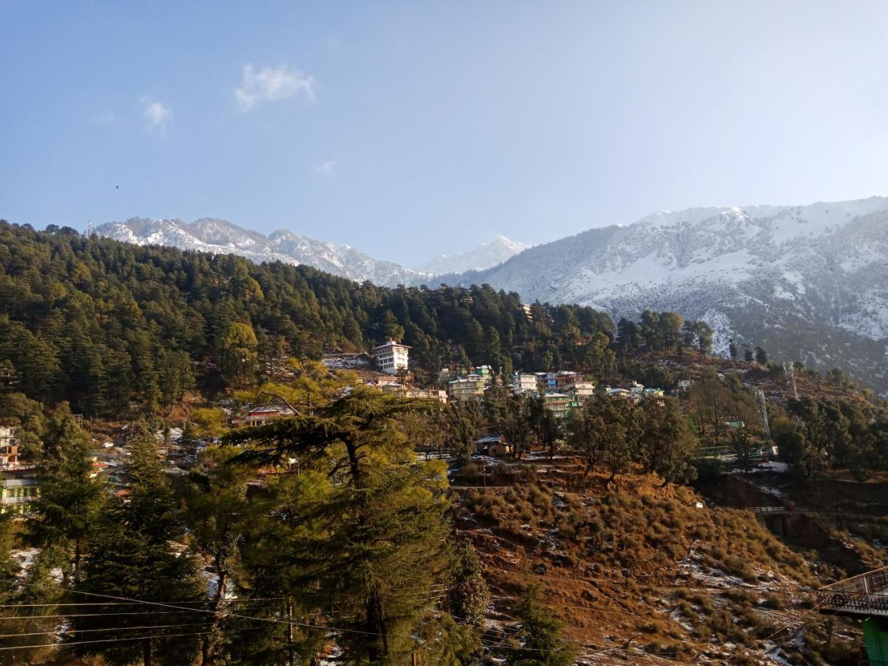 Hotel Pine Spring Дхарамсала Екстериор снимка